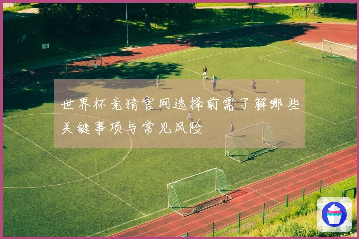 世界杯竞猜官网选择前需了解哪些关键事项与常见风险体育资讯