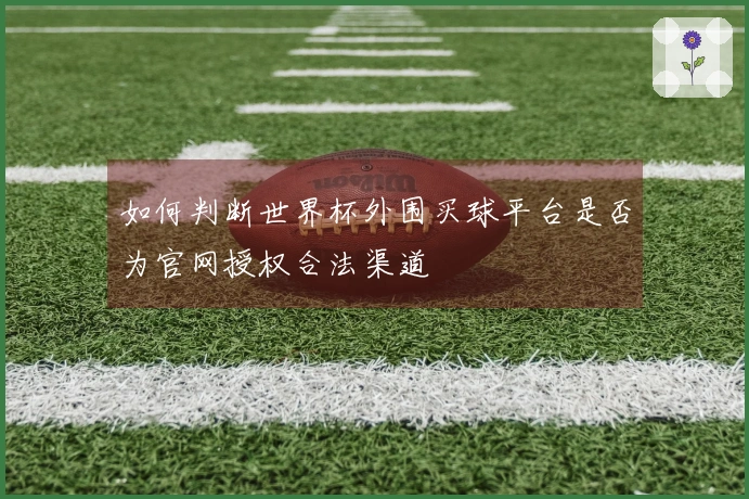 如何判断世界杯外围买球平台是否为官网授权合法渠道