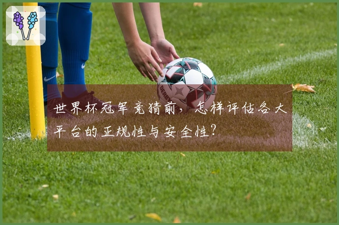 世界杯冠军竞猜前，怎样评估各大平台的正规性与安全性？